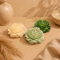 Pack x3 Peonias